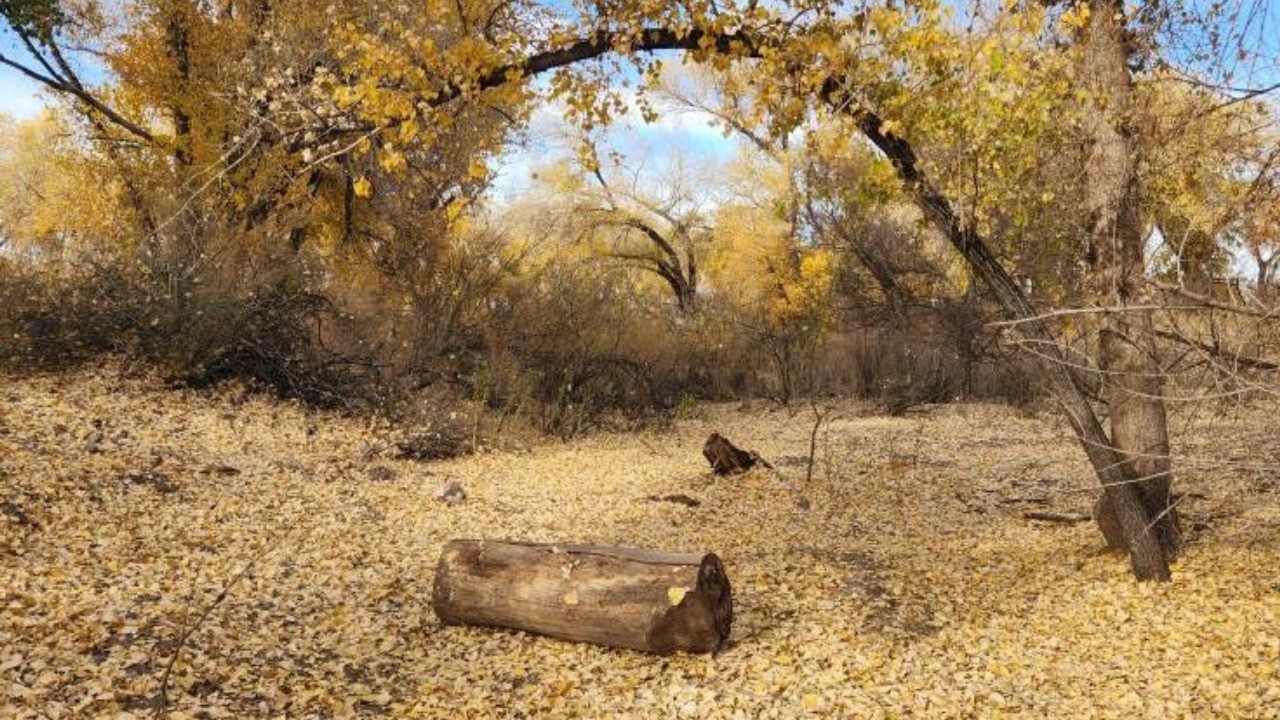 Galería 8
